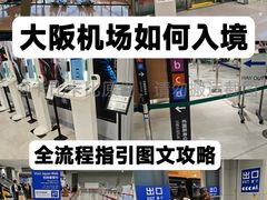 -大阪国际机场