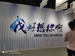 -深圳失恋博物馆再见前任(汇商名苑店)