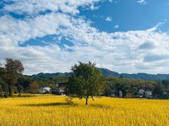 -塔川景区