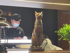 -三猫黑鱼花(南大店)