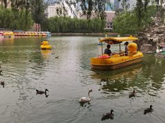 -团结湖公园