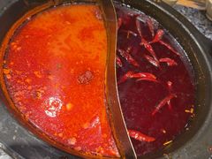 -蜀大侠火锅(建设路第五大道店)