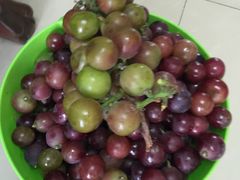 -马陆小张葡萄园农家乐