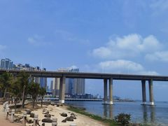 -中澳友谊花园