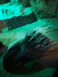 -酷嗒动物文化乐园(cutezoo西溪乐天城店)