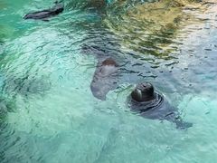 -珠海长隆海洋王国