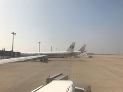 -中部国际机场
