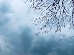 -杭州城北体育公园