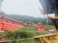 -东莞市大岭山森林公园