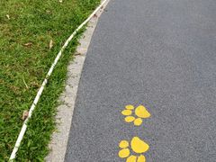 -景田北六街公园宠物主题园