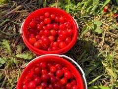 -东山风景区(洞庭东山)