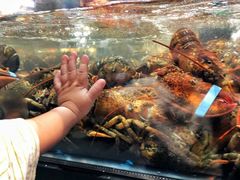-盒马鲜生(昆城店)