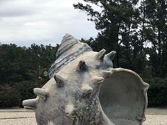 -柱状节理带