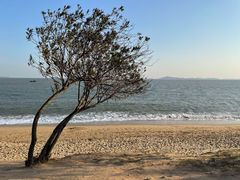 -黄金海岸环岛路