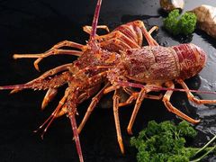 澳洲龙虾-新加坡泰国村酒楼(五角场店)