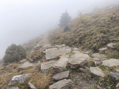 -芦芽山旅游度假区