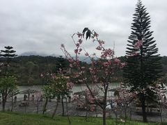-田野绿世界