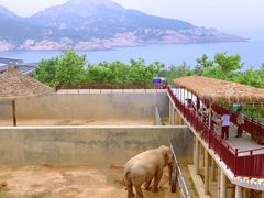 -西霞口神雕山野生动物世界