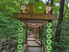 -大岭沟猕猴桃谷风景区
