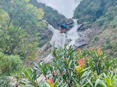 -海南热带雨林国家公园吊罗山景区