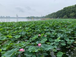 点击看大图 -南京圣和府邸豪华精选酒店-宴会厅婚宴·生日宴·宝宝宴
