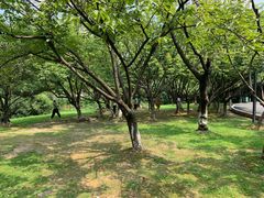 -苏州河梦清园环保主题公园