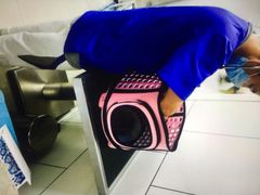 北京康乐宝动物医院-康乐宝动物医院