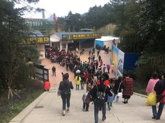 -梦幻奥陶纪景区