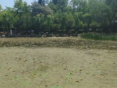 -莲湖公园