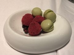 -蝶舍·MAISON PAPILLON