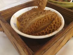 -黄埔华苑酒家(黄埔总店)