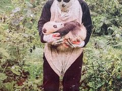 -深圳博物馆历史民俗馆