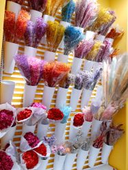 -kidsland(上海环球港店)