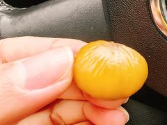 -阿男野栗王(金门路店)