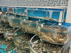 -仙螺岛海鲜自助餐厅(总店)
