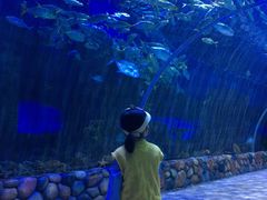 -华夏文旅海洋公园