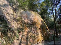 -缙云山景区