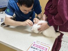 -瑞派康怡24h宠物医院·犬猫医疗中心·微创绝育(瑞景分院)