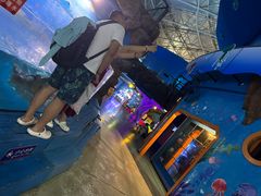 -烟台海昌鲸鲨海洋公园