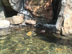 -明月山天沐温泉度假村