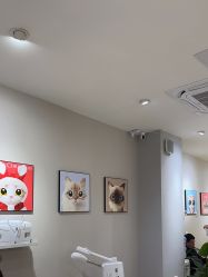 -洗脸猫·洗脸吧