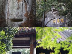 -八卦田遗址公园