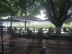 -平安桥张氏肥肠粉