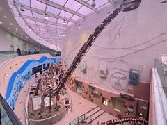 -陕西自然博物馆