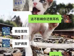 -齐岸健身(花园城店)