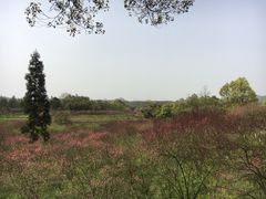 -常德桃花源景区