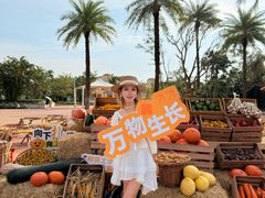 -珠海海泉湾神秘岛亲子乐园