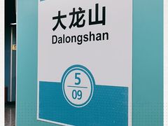 -大龙山(地铁站)