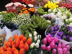 -双季花艺园艺市场(浦东店)