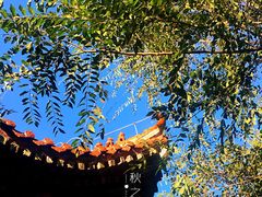 -黄村公园